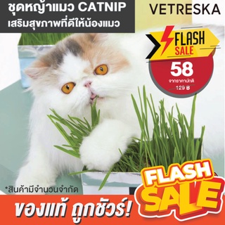 [ของแท้]🔥ถูกสุด! พร้อมส่ง🔥Vetreska ชุดหญ้าแมว CATNIP พร้อมปลูก ช่วยให้น้องแมวสุขภาพดี