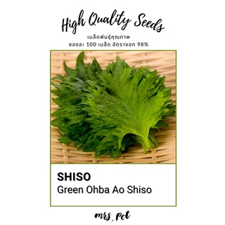 เมล็ดใบงาโอบะ Green Ohba Ao Shiso