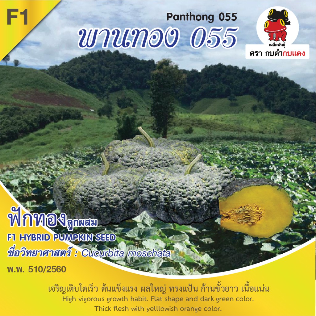 เมล็ดพันธุ์-ฟักทอง-พานทอง-055-บรรจุ-2-กรัม