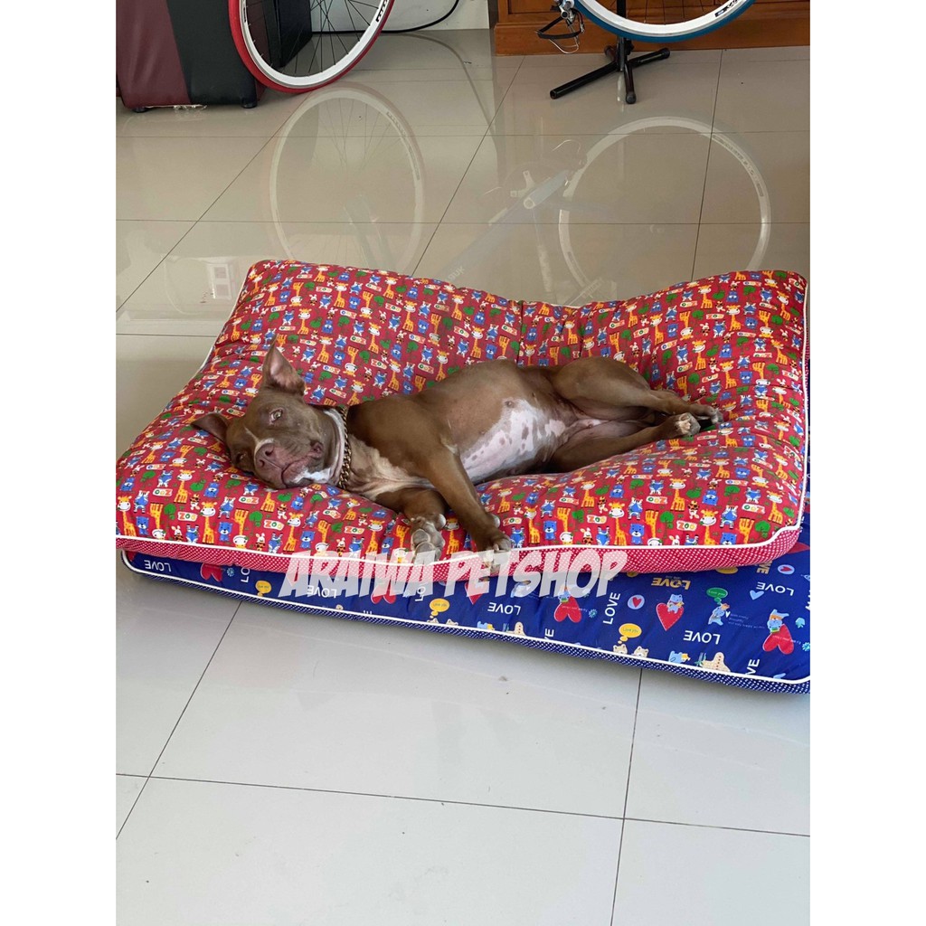 ที่นอนสัตว์เลี้ยงไซส์จัมโบ้105ซม-แพยักษ์-แพใหญ่-ราคาถูกงานพรีเมี่ยม-araiwa-petshop-ที่นอนหมา-ที่นอนแมว
