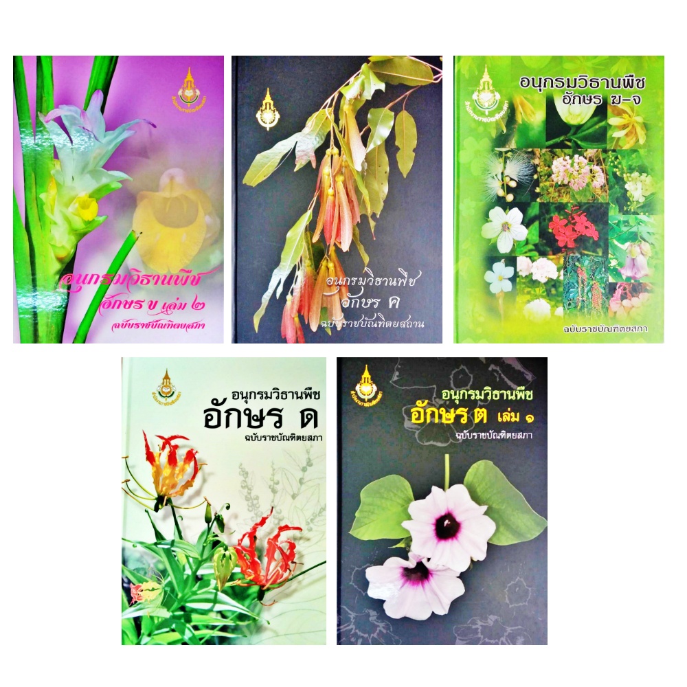 อนุกรมวิธานพืช-ฉบับราชบัณฑิต-รวบรวมชื่อพรรณพืชที่มี-อยู่ในประเทศไทย