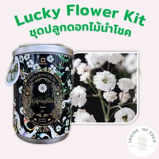 ชุดปลูกดอกไม้ Lucky flower เจียไต๋