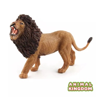 Animal Kingdom - โมเดลสัตว์ พ่อสิงโต ขนาด 13.00 CM (จากหาดใหญ่)