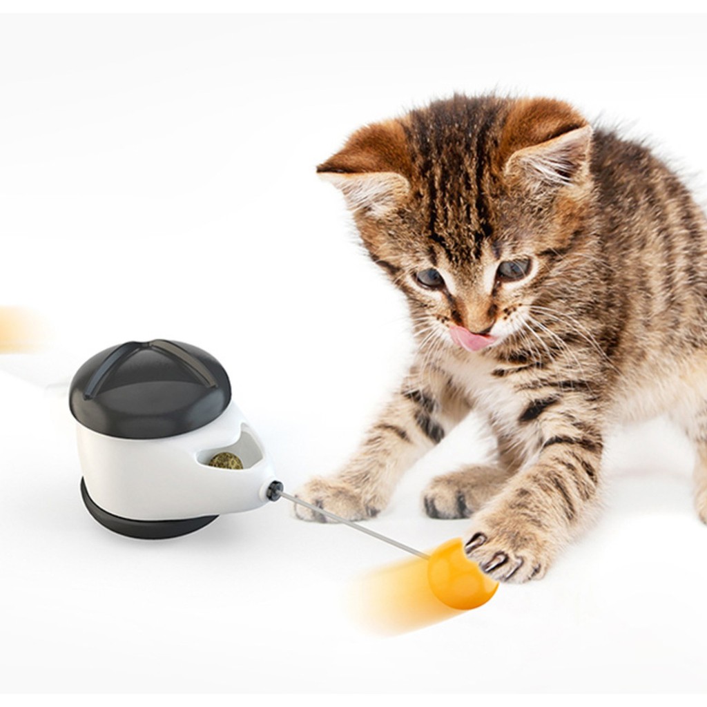 ของเล่นแมว-ล้อรถ-ของเล่นล้อหมุน-ขนนกติดล้อ-ล้อหมุนล้มลุกของเล่นน้องแมว-cat-toy-พร้อมส่งในไทย-pa0011