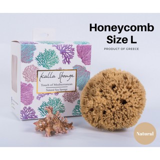 ภาพหน้าปกสินค้าฟองน้ำธรรมชาติ ชนิด Honeycomb ขนาด L สีน้ำตาล (FREE EMS!!) ซึ่งคุณอาจชอบราคาและรีวิวของสินค้านี้