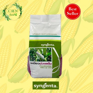 ภาพหน้าปกสินค้าเมล็ดพันธุ์ ข้าวโพดข้าวเหนียวม่วงแต้ม Syngenta 1000g. ที่เกี่ยวข้อง