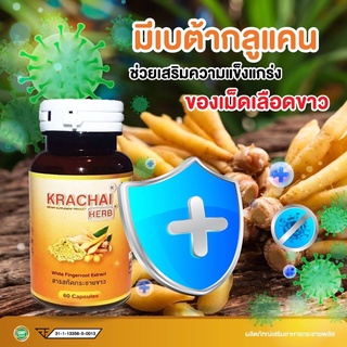 กระชายขาว ต้านโควิด KRACHAI Herb