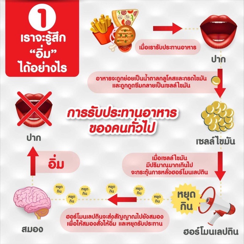 วิตามิน-อาหารเสริม-ลดน้ำหนัก-กระชับสัดส่วน-เผาผลาญไขมัน-เลปติโก-พลัส-เอ็ม-กิฟฟารีน-leptigo-plus-m-giffarine