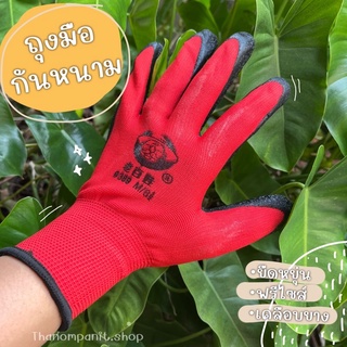 ภาพหน้าปกสินค้า(สีแดง)ถุงมือยางพารา ถุงมือนิรภัย ถุงมือกันบาด กันหนาม ถุงมือเกาหลี ตรา380 ที่เกี่ยวข้อง