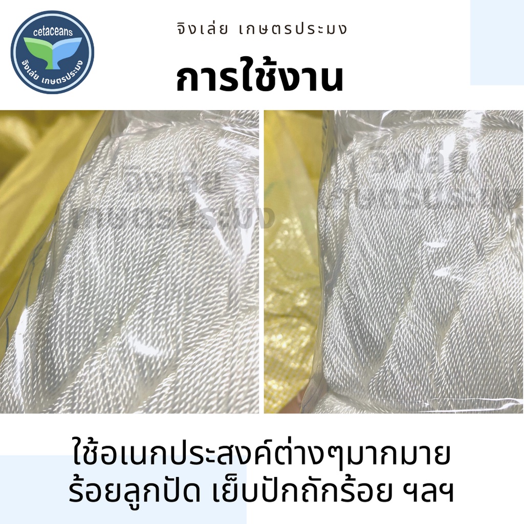 ด้ายไนล่อน-ตราเรือใบ-ด้ายสานแห-เชือกไนล่อน-ด้าย100-ด้ายแต่งแห-ด้ายลื่น-ด้ายตกปลา-ด้ายร้อยลูกปัด-ด้ายถักแห