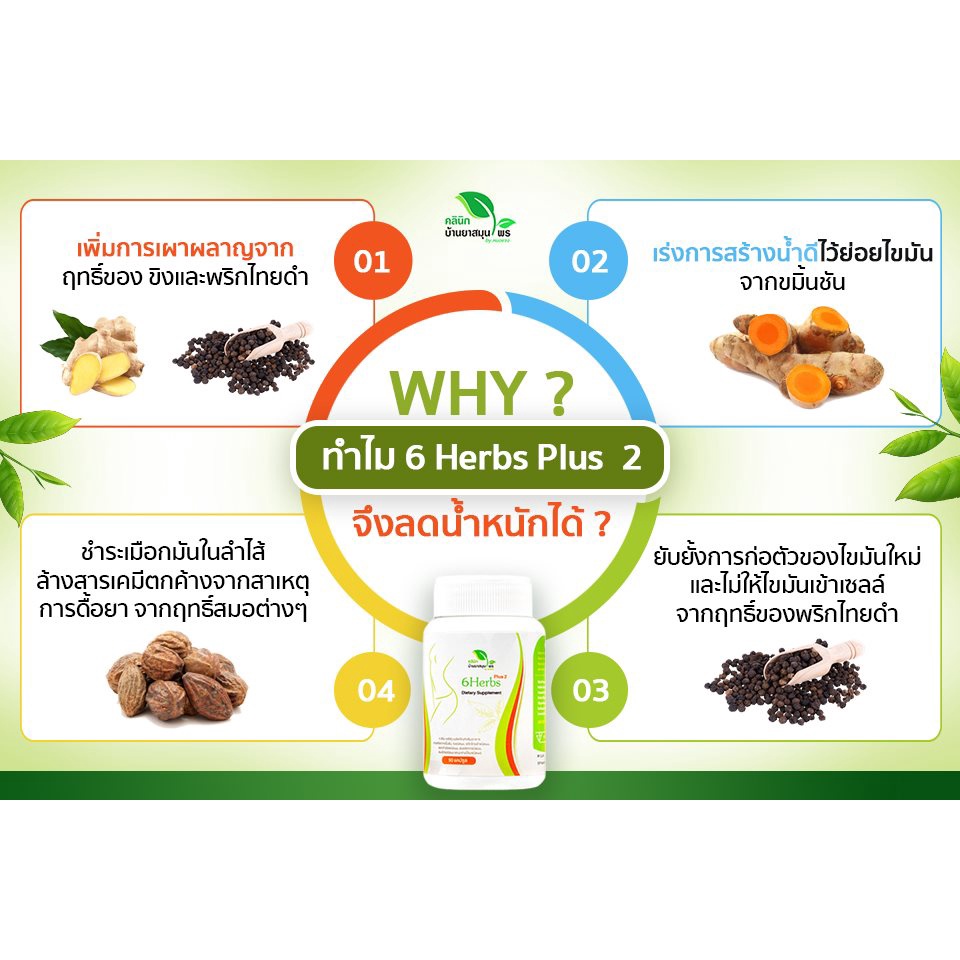 ส่งฟรี-ems-6herbs-plus2-สมุนไพรเร่งเผาผลาญ-ลดน้ำหนัก-ปรับสมดุลร่างกาย