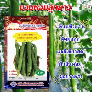 เมล็ดอวบอ้วน100%，ไทยในสต็อกพร้อมส่งเมล็ดบวบหอมลูกยาว Sponge Gourd Long เมล็ดพันธุ์ เมล็ดพันธุ์ผัก เมล็ดพันธุ์พืช ผักสวนค