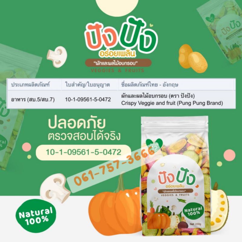 ปัง-ปัง-ผักอบกรอบ-12-ชนิด-ไม่เหม็นหืน-ขนาด-250-กรัม-สินค้าพร้อมส่ง