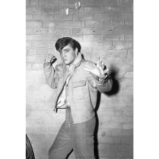 โปสเตอร์ Elvis Presley เอลวิส เพรสลีย์  Rock and Roll Music Poster ภาพถ่าย รูปภาพติดห้อง ตกแต่งผนัง โปสเตอร์วงดนตรี