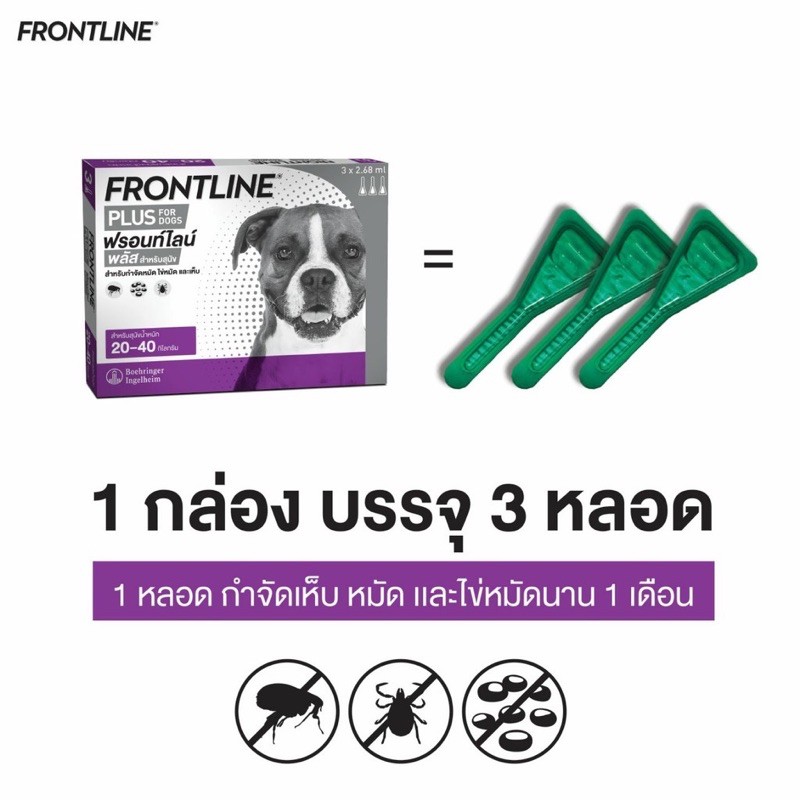 frontline-plus-หมา-แมว