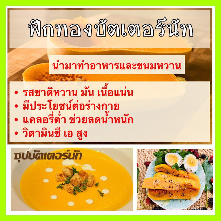 ผู้ค้าส่งเมล็ดพันธุ์-พร้อมส่ง-เมล็ดพันธุ์แท้-op-เมล็ดฟักทอง-บัตเตอร์นัท-waltham-butternut-squash-เนื้อแน่น-ปลูกง่