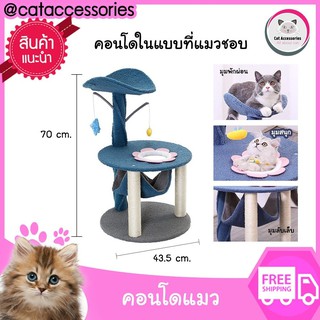 Cat Accessories คอนโดแมว  ของเล่นแมว ที่ลับเล็บแมว มีเปลนอนแมว ขนาดกลาง size 70x43.5 Cm. สีน้ำเงิน