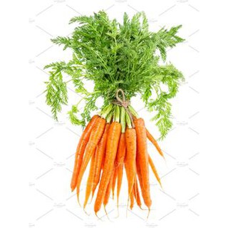 🥕แครอทจิ๋ว📌ถูกที่สุด 8 บ.50 เมล็ด  Baby Carrot ☘️ปลูกง่าย🌱ขึ้นไว ทานสด หวานกรอบ🥕อร่อย