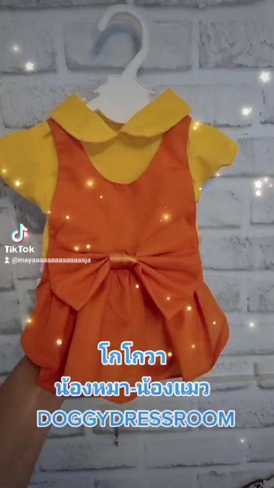 มาแล้วลูกจ๋า-ชุดโกโกวา-ที่หนูอยากได้-ชุดน้องหมา-น้องแมว-ชุดโกโกวา-159-บาท