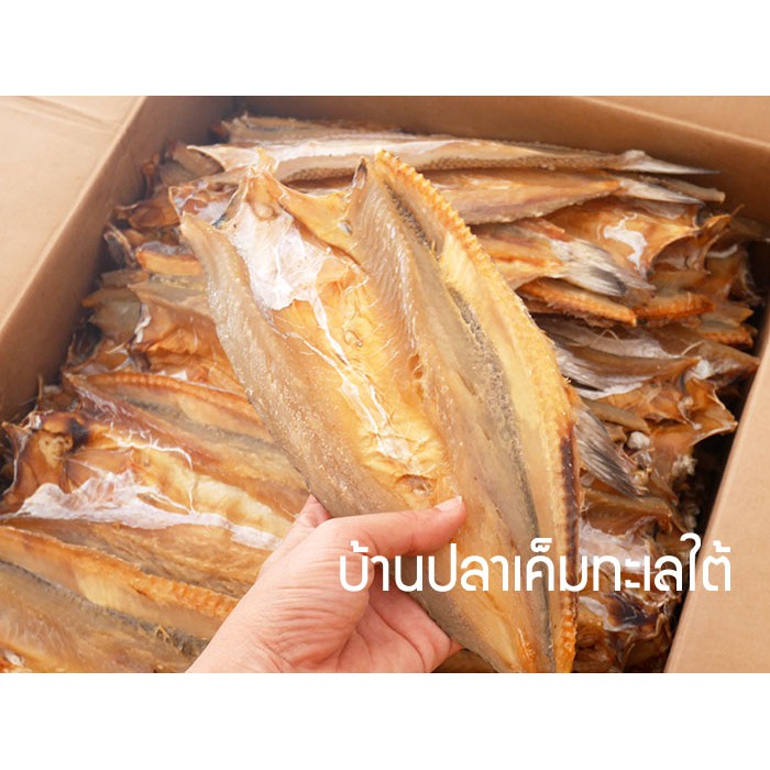 ภาพหน้าปกสินค้าปลาช่อนทะเล ตัวใหญ่ ใหม่ สะอาด อร่อย น้ำหนัก 500กรัม จะทำน้ำพริก ย่าง แกง ก็อร่อย ปลาแห้ง ปลาไล้กอ อาหารทะเลแห้ง จากร้าน banplakem บน Shopee