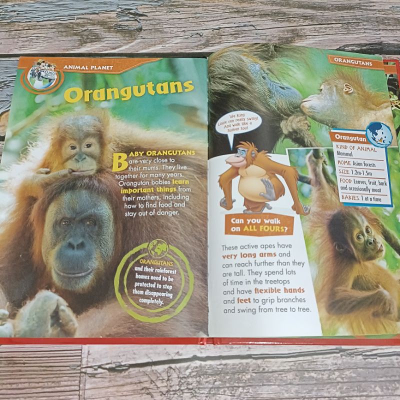 หนังสือความรู้-disney-animal-world-มือสอง