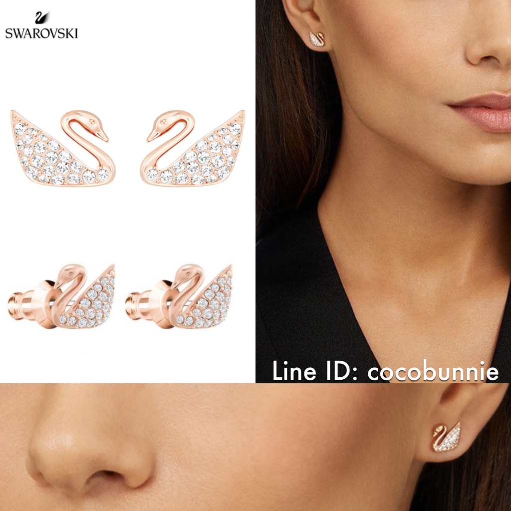 sale-แท้100-ต่างหู-swarovski-iconic-swan-pierced-earrings-จาก-swan-collection-แต่งด้วยคริสตัลสีขาว-ตัวเรือน-rose-gold