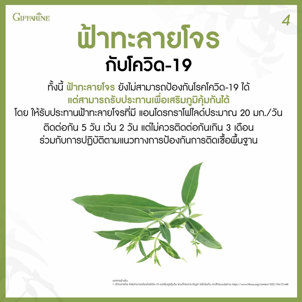 ฟ้าทะลายโจร-กิฟฟารีน-400-มิลลิกรัม-เลขทะเบียนที่-g207-43