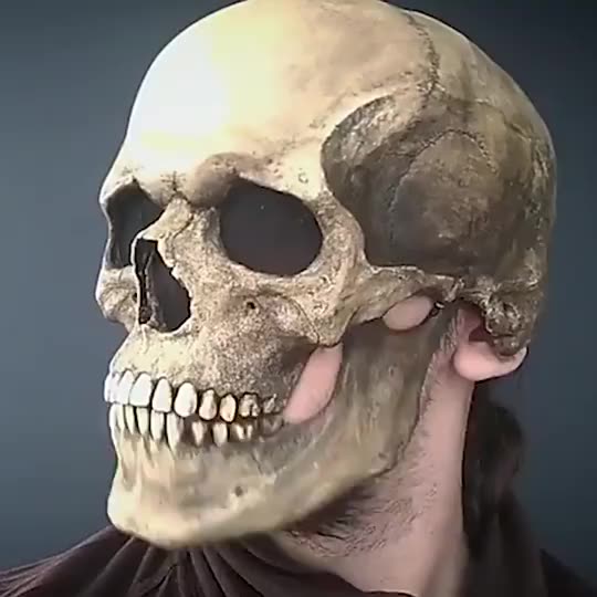 ผู้ใหญ่สยองขวัญ-skull-mask-with-moving-jaw-latex-headgear-halloween-party-skeleton-หน้ากากคอสเพลย์สำหรับผู้ชาย-scary-bone-helmet-party-decor-ดอกไม้