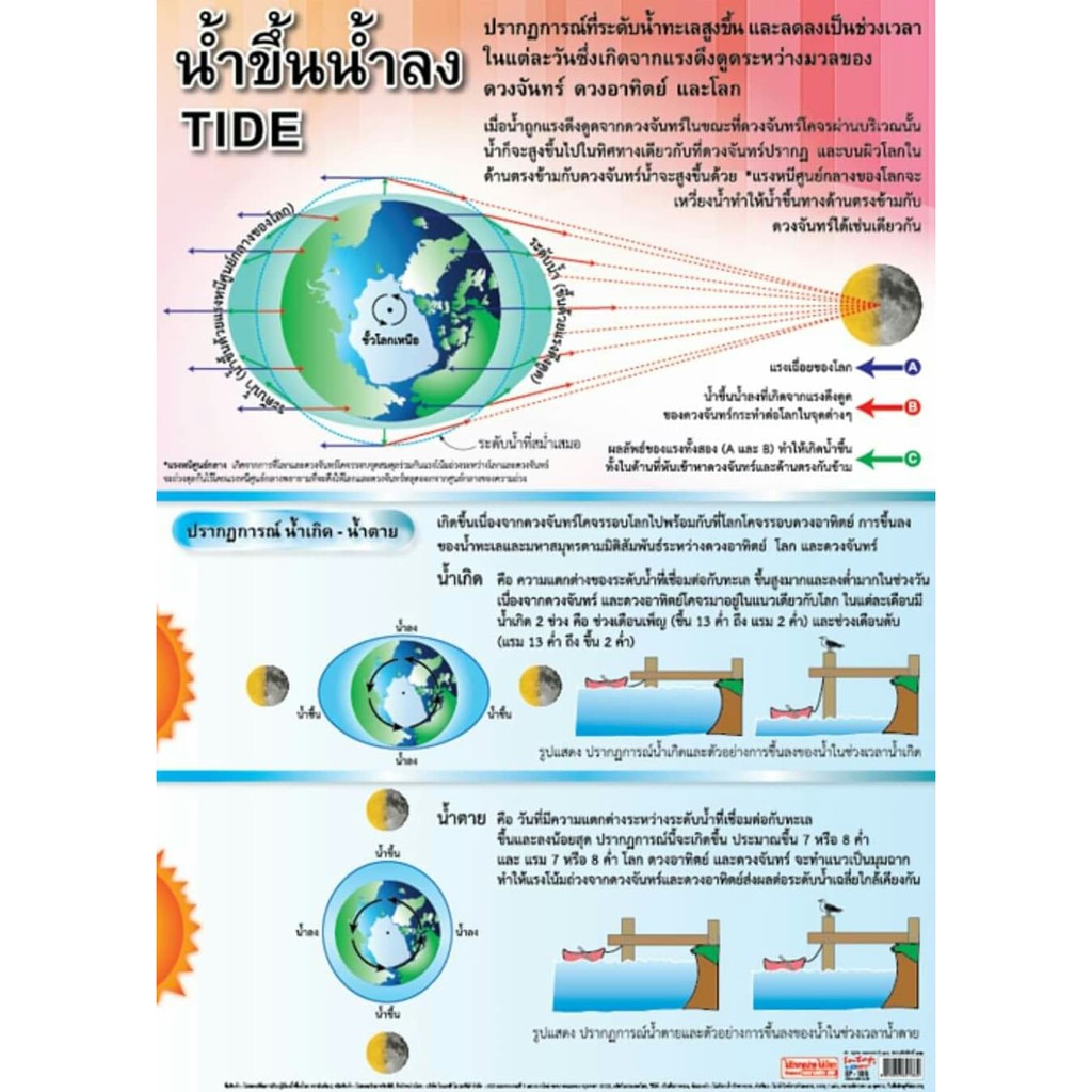 น้ำขึ้น-น้ำลงeq-186-โปสเตอร์กระดาษหุ้มพลาสติก