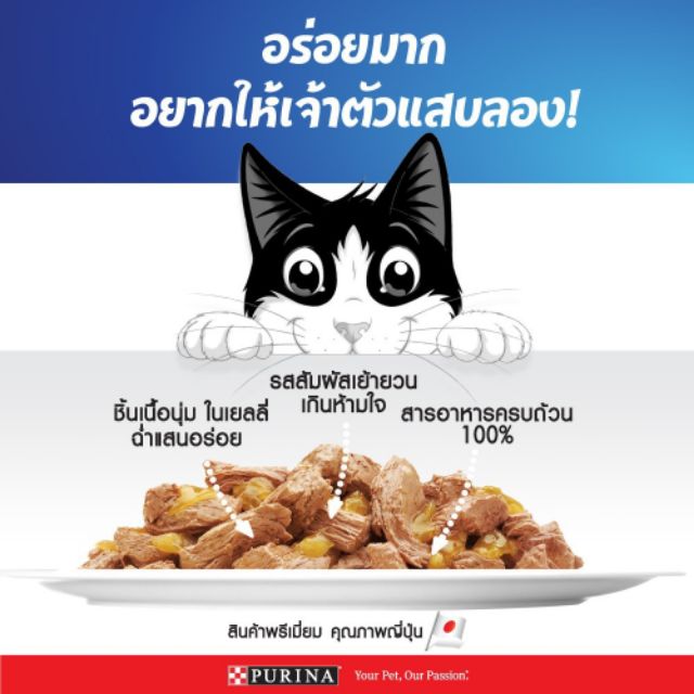 purina-felix-อาหารแมวจากออสเตรเลีย-70-กรัม-12-ซอง