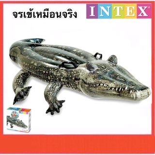 INTEX แพยางเป่าลม แพจระเข้ แพเป่าลม รุ่นเสมือนจริง Realistic Gator Ride-on-57552 Size170x86x31cm.ส่งจากไทย Kerry Express