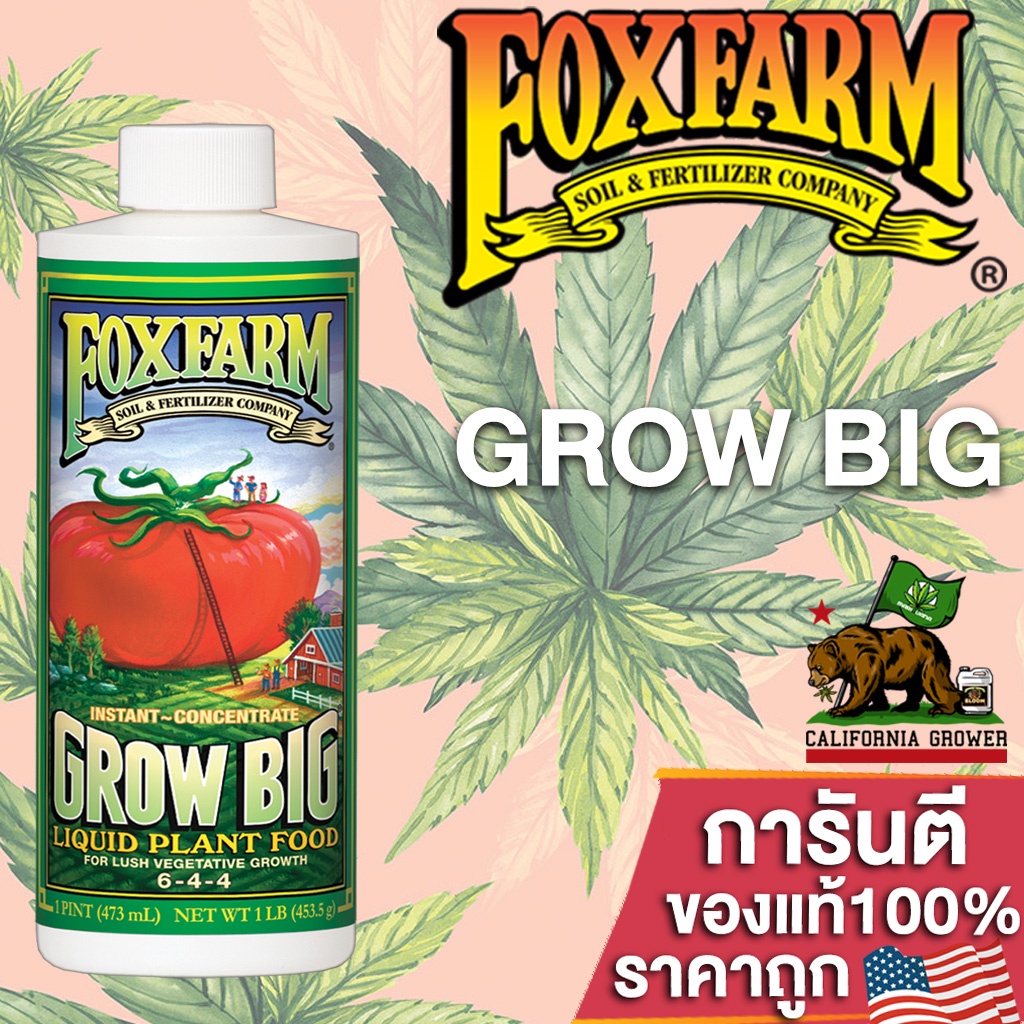 Fox Farm Grow Big (644) ปุ๋ยบำรุงพื้นฐานการเติบโตของต้นโดยรวม ทั้ง