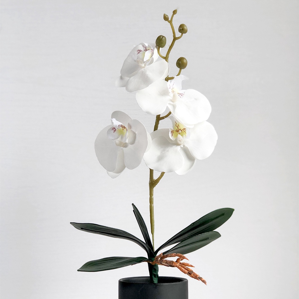 ภาพสินค้าดอกไม้ประดิษฐ์ Phalaenopsis High-End สําหรับตกแต่งบ้าน จากร้าน moshee.th บน Shopee ภาพที่ 5