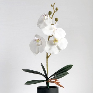 ภาพขนาดย่อของภาพหน้าปกสินค้าดอกไม้ประดิษฐ์ Phalaenopsis High-End สําหรับตกแต่งบ้าน จากร้าน moshee.th บน Shopee ภาพที่ 5