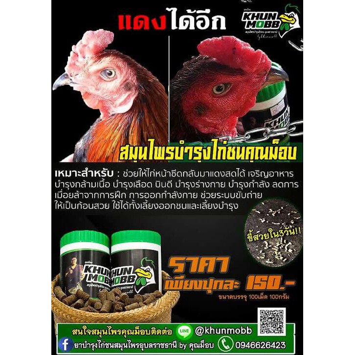 khunmobb-สมุนไพรบำรุงไก่ชน