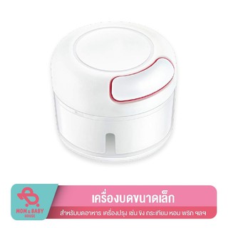 เครื่องบดกระเทียม อเนกประสงค์ ขนาดเล็ก อุปกรณ์ในห้องครัว