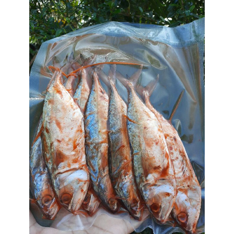 ภาพหน้าปกสินค้าปลาทูเค็ม สูตรโบราณจากนครศรีฯ อร่อยจนต้องขอข้าวเพิ่ม น้ำหนัก 500 กรัม (ฮาลาล) จากร้าน kapihomemade บน Shopee
