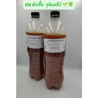 EM(อีเอ็ม) หัวเชื้อจุลินทรีย์ น้ำหมัก เข้มข้น ขนาด 750 มล. 🌱🍀🌲