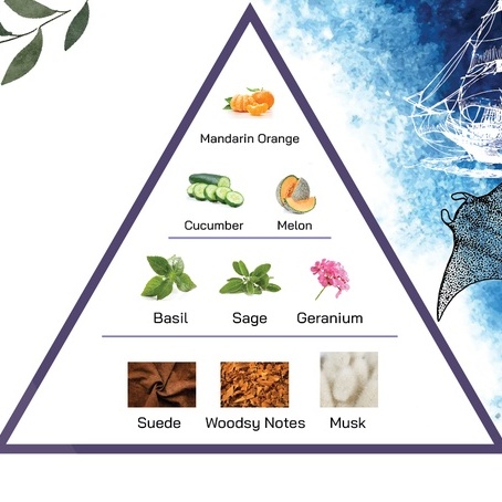 สารให้ความหอม-กลิ่นแฟชั่น-po-บลู-ช-30-cc