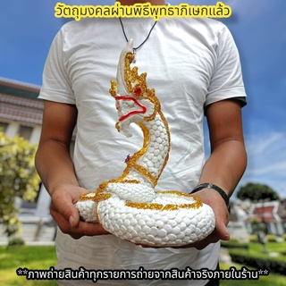 พญานาคราช ตระกูลสีขาวหรือสีรุ้ง 25ซม.ทรงเลข8 เข้าพิธีนาคาภิเษกที่วัดป่าศรีสุทโธคําชะโนด สามารถวางอ่างบัวได้