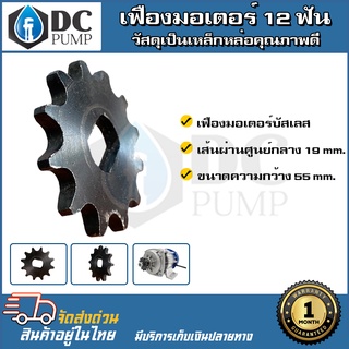 เฟืองมอเตอร์บัสเลส 12 ฟัน เส้นผ่าศูนย์กลาง 19mm ขนาดความกว้าง 55mm (เฟืองมอเตอร์บัสเลส,เฟืองจักรยาน)