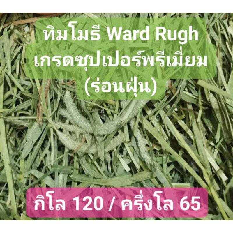 ทิมโมธี-ward-rugh-ร่อนฝุ่น-เกรดซุปเปอร์พรีเมี่ยม