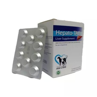 สินค้า Hepato Tab บรรจุ 100เม็ด วิตามินบำรุงตับสำหรับสุนัขและแมว