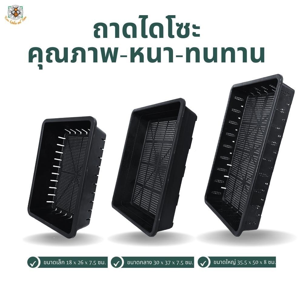 ถาดไดโซะ-ถาดเพาะเมล็ด-คุณภาพ-หนา-ทนทาน