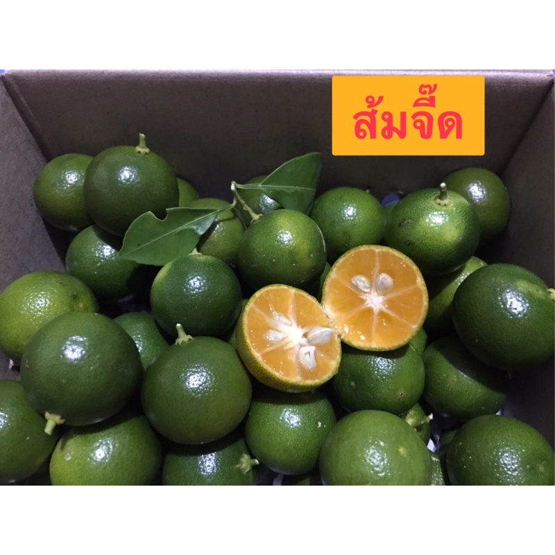 รูปภาพของส้มจี๊ด ส้มจีน ส้มมะปี๊ด ส้มเคยขาว ปลอดสารเคมี มีรสชาติเปรี้ยว 1กิโลกรัม ราคาชาวสวนเก็บสดๆใหม่ๆใช้ทำอาหารและเครื่องดื่มลองเช็คราคา