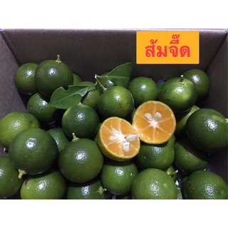 สินค้า ส้มจี๊ด ส้มจีน ส้มมะปี๊ด ส้มเคยขาว ปลอดสารเคมี มีรสชาติเปรี้ยว 1กิโลกรัม ราคาชาวสวนเก็บสดๆใหม่ๆใช้ทำอาหารและเครื่องดื่ม