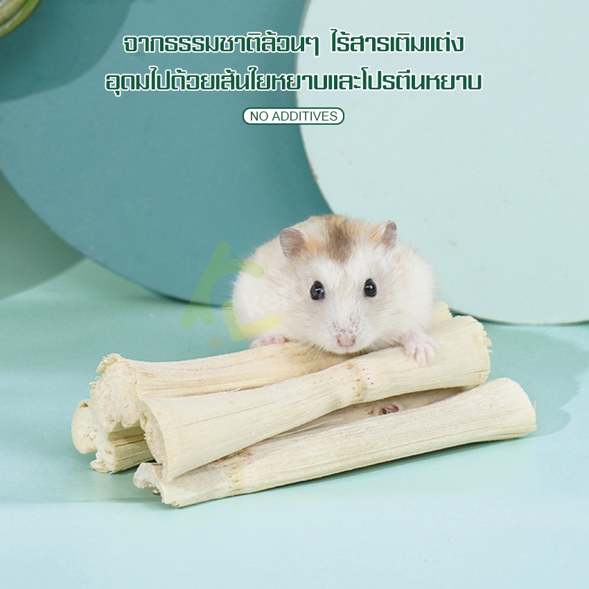 ไผ่หวานเเท่ง-ขนมลับฟัน-กิ่งไม้เเอปเปิ้ล-ไม้แอปเปิ้ล-สำหรับ-ชูการ์-กระรอก-หนูแฮมสเตอร์-ไม้อบแห้ง-เเท่งไม้หวาน-ลับฟัน