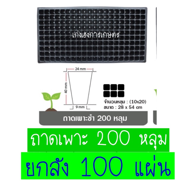 ถาดเพาะ200-หลุม-ยกลัง-1-600-บาท-พร้อมส่ง