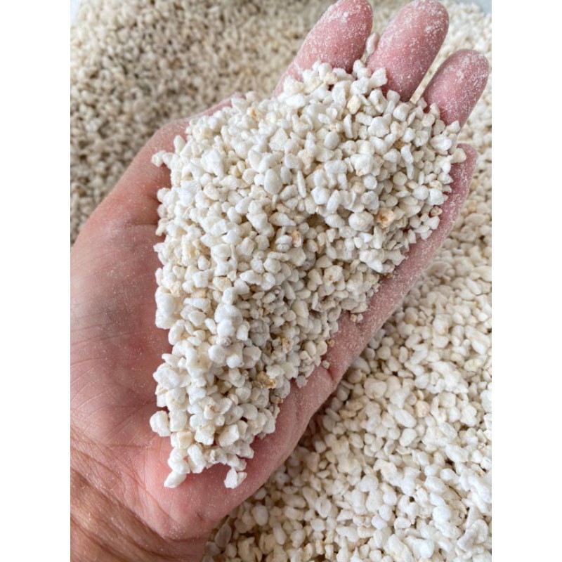 เพอร์ไลท์-perlite-เวอร์มิคูไลท์-vermiculite-ปลูกแคคตัส-ผสมดินแคคตัส-แบ่งขายราคาถูถ