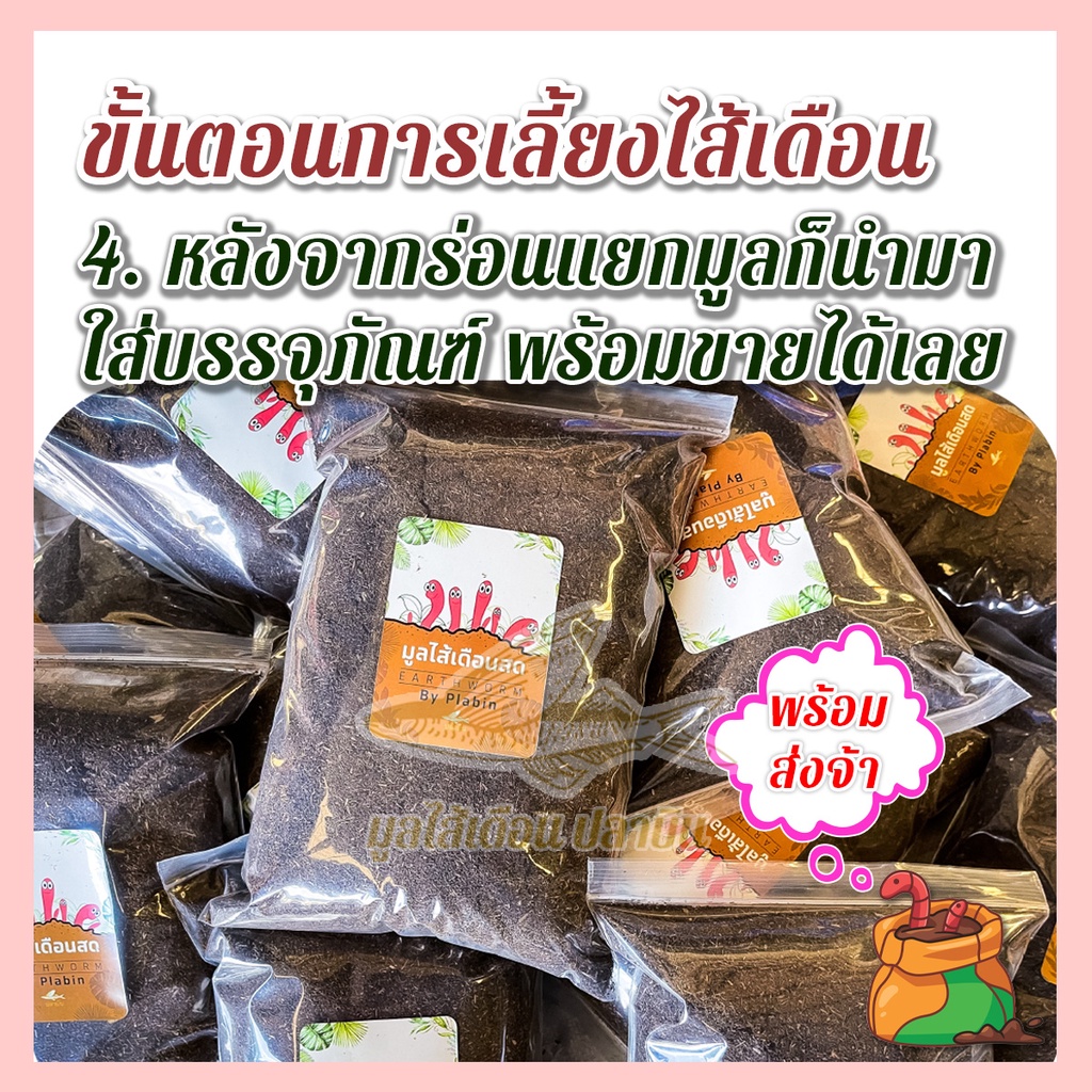 ภาพสินค้ามูลไส้เดือนปลาบิน มูลไส้เดือนแท้100% ไม่ผสม คุณภาพดีที่สุดใช้กับต้นไม้ได้ทุกชนิด น้ำหนัก (800-1,000 กรัม) จากร้าน plabin.thailand บน Shopee ภาพที่ 3